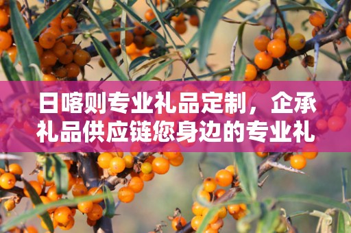 日喀则专业礼品定制，企承礼品供应链您身边的专业礼品定制公司